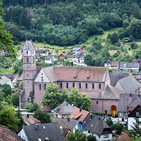 Miu'S Ferienwohnung Alpirsbach Esterno foto