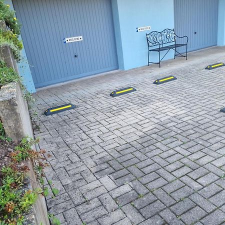 Miu'S Ferienwohnung Alpirsbach Esterno foto