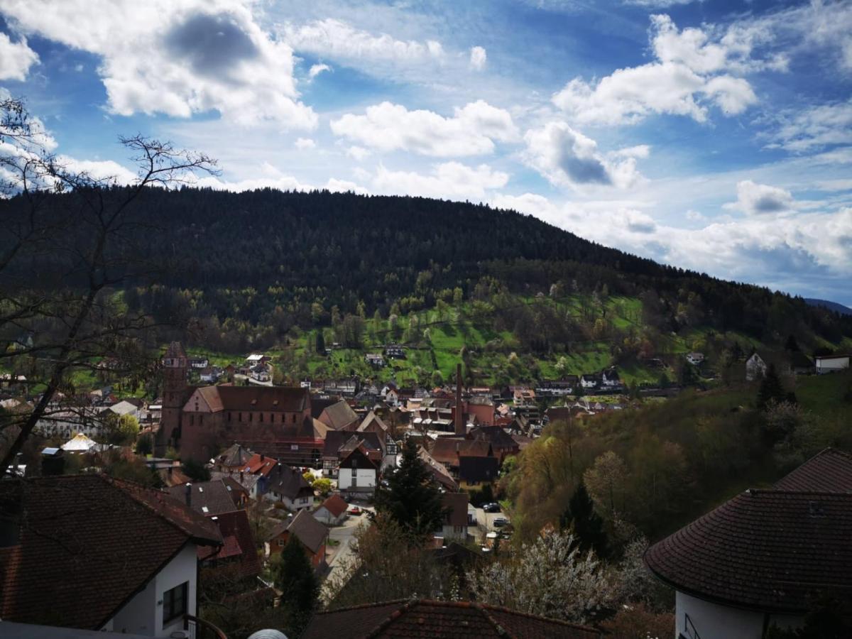Miu'S Ferienwohnung Alpirsbach Esterno foto