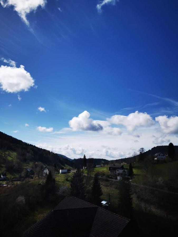 Miu'S Ferienwohnung Alpirsbach Esterno foto